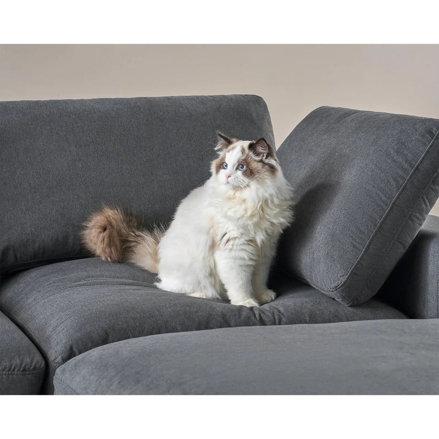 Montauk Down Filled Sectional Sofa